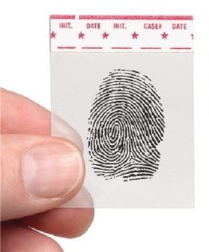 Sirchie Transparent 1 1/2'' x 2'' Hinge Lifter (24 each)